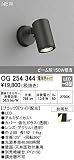 オーデリック エクステリアライト OG254344