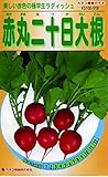 カネコ種苗 野菜タネ519 赤丸二十日大根 10袋セット