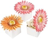 kateaspen Daisy Delight Gerbera Daisy Favor Box, Bright Orange (Pack of 24) by Kateaspen [並行輸入品]