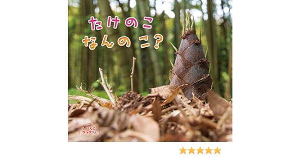 たけのこなんのこ しぜんにタッチ 野中 重之 飯村 茂樹 砺波 周平 本 通販 Amazon