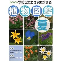 学校のまわりでさがせる植物図鑑 ハンディ版 春 夏 秋冬 樹木 全4冊セット 学校のまわりでさがせる植物図鑑: ハンディ版 (春) | 平野 隆久 |本