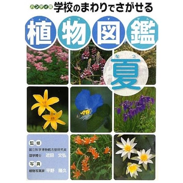 学校のまわりでさがせる植物図鑑: ハンディ版 (秋冬) | 平野 隆久 |本