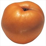 国華園　果樹苗　ナシ　愛宕　1株【※発送が国華園からの場合のみ正規品です】