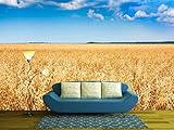 wall26 粘着式 Wall Muralシリーズ 壁紙 大型。 100"x144" WMR-WP-X-D368-100x24x6