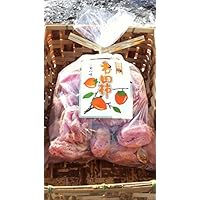 【干し柿】産地直送 長野県 わけあり 市田柿 　　　　６００ｇ以上入り(３００ｇ以上入り&times; ２袋)　　　　　ふぞろい キズあり 自家用 干 し 柿 [訳あり]