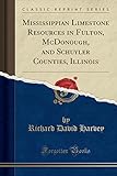 Mississippian Limestone Resources in Fulton, McDonough, and Schuyler Counties, Illinois (Classic Reprint)