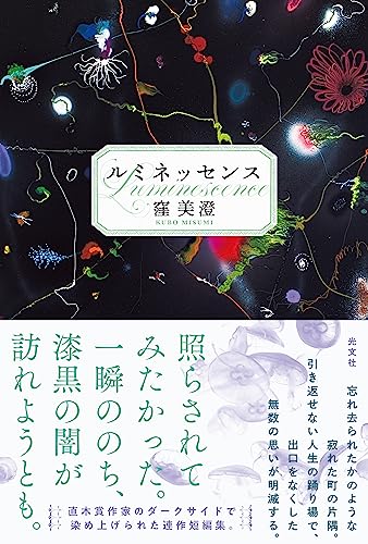 窪美澄:ルミネッセンス