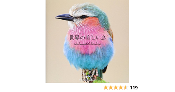 世界の美しい鳥 上田恵介 本 通販 Amazon 世界の美しい鳥 上田恵介 本 通販 Amazon