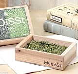 モイスト モス コケ 苔 スナゴケ プレゼント ギフト 観葉植物 モイスト モス 36個 【36点】
