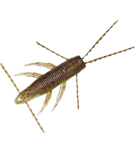 マルモページです☆①の2 Amazon.co.jp: ダイワ(DAIWA) バスワーム STEEZブラーモ2.4 ダーク