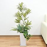 人工観葉植物 寄せ植え(ドラセナ・ソングオブインディア) 陶器鉢