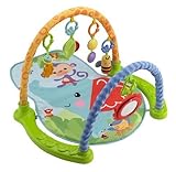 Fisher-Price Link 'n Play Musical Gym by Fisher-Price [並行輸入品]