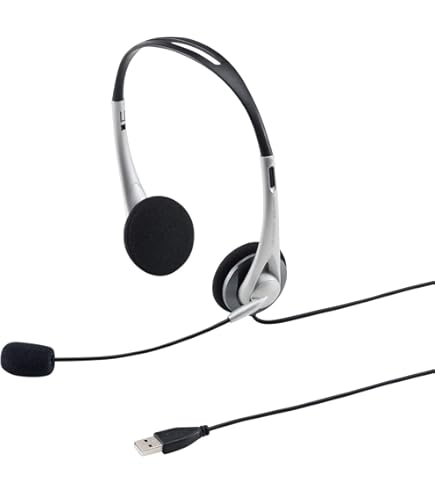 Amazon.co.jp: (2個まとめ売り) サンワサプライ ワイヤレスヘッド