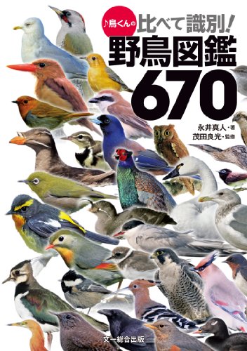 ♪鳥くんの比べて識別! 野鳥図鑑670 ♪鳥くんの比べて識別! 野鳥図鑑670