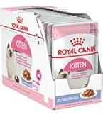 Amazon | ロイヤルカナン FHN キトン 子猫用 2kg | ロイヤル