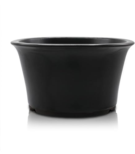 Amazon.co.jp: うめきち盆栽用品店 ミニ盆栽鉢 2.5号 山野草鉢