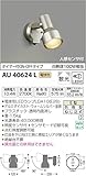 コイズミ照明 人感センサ付スポットライト タイマー付ON-OFFタイプ 散光 白熱球100W相当 ウォームシルバー塗装 AU40624L