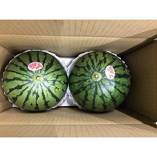 21年最新版 スイカの人気おすすめランキング15選 人気ブランドや糖度の高い品種も セレクト Gooランキング 21年最新版 スイカの人気おすすめランキング15選 人気ブランドや糖度の高い品種も セレクト Gooランキング