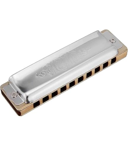 Amazon | Seydel サイドル ハーモニカ ブルース 10穴 1847 NOBLE C