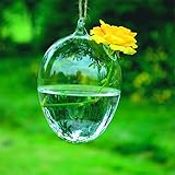SHINA 2個セット ハンギング ガラス 花瓶 水栽培ポット 観葉植物 水耕栽培植物 ホームデコレーション