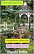 The Mysterious Black Box: Hattie's Last Road Trip (Emerald Gardens Series Book 1) (English Edition)