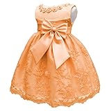 Candykids子供ドレス　ベビードレス ベビーデイジー セレモニードレス 結婚式 フォーマルドレス 子供服 女の子ノースリーブ 赤ちゃん お宮参り 刺繍　出産祝い プリンセスドレス　撮影ドレス (