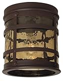 Craftmade Z5017-91 Outdoor Flush Mount Light with Hammered Champagne Glass Shades, Rustic Iron Finis