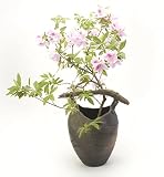 【信楽焼　壱彦】花器　HK-303　凛 -RIN-　サイズ　直径320mm×高さ470mm