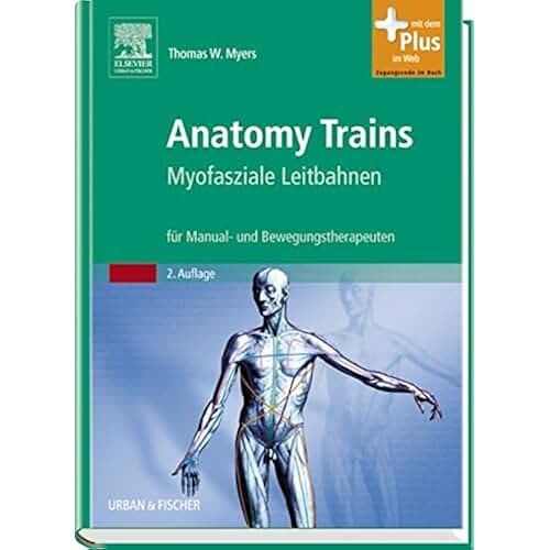 Amazon.co.jp anatomy train