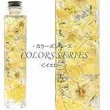 ハーバリウム イエロー COLORS SERIES 紫陽花 ミニかすみ草 フラワーコーン herbarium
