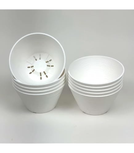 植木鉢　2個セット 大人気』 2個セット 植木鉢 楕円形サボテン鉢 多肉植物鉢 陶器鉢