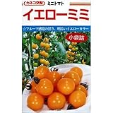 ミニトマト 種 【 イエローミミ 】 種子 100粒