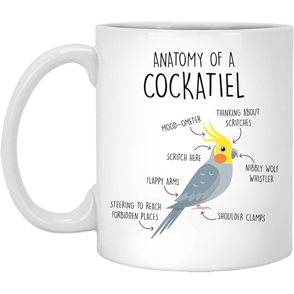 Cockatiels Calendar - 2019 Wall Calendars - Bird Calendars - Monthly - View #6