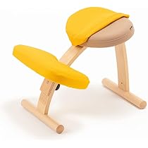 Amazon.co.jp: バランスラボ バランスイージー専用プレミアムニット