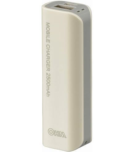 Amazon | 1個 ＜ 国内在庫 ＞ Rakuten WiFi Pocket Platinum