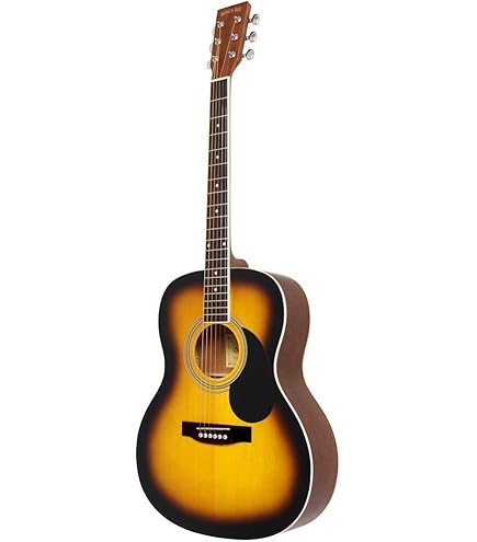 アコースティックギター HONEYBEE HJ-18 TS Amazon | HONEY BEE ハニービー アコースティックギター