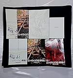 【チラシ5種付】シン・エヴァンゲリオン パンフレット＋information小冊子封入 劇場版 EVANGERION エヴァ シンエヴァンゲリオン