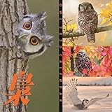 トライエックス 2023年 梟 ~ふくろう~ カレンダー 壁掛け 60×30 CL-386