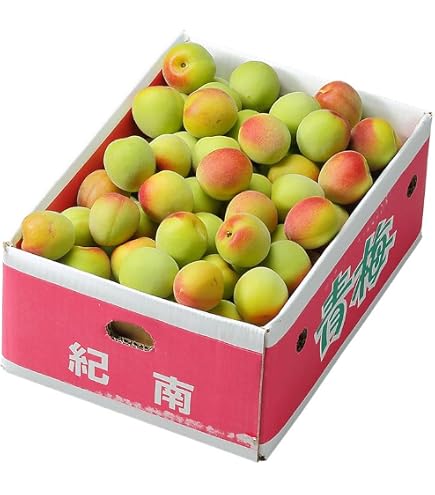 Amazon.co.jp: 梅 パープルキング 秀品 3L～Lサイズ 5kg 和歌山県産