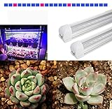 Haolin LED 植物育成用ライト　レッドブルー1：5　60cm スペクトル多肉植物日照不足解消　形態形成育成用ライト　室内水耕栽培　農園　園芸
