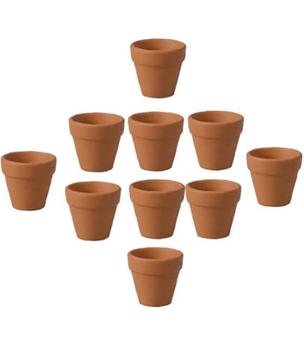 Amazon.co.jp: 多肉植物鉢 ミニ 3×3cm ポット 陶器 プランター