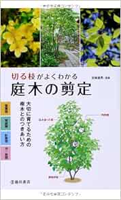 切る枝がよくわかる庭木の剪定 大切に育てるための樹木とのつきあい方 池田書店の園芸シリーズ 安藤 通男 本 通販 Amazon