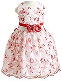 女の子のフォーマルドレス ファッション 手で刺繍　パーティードレス　発表会　結婚式 (4号（３−４歳）, 赤) [並行輸入品]