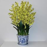 造花 オンシジューム 鉢植 10本立 青柄鉢 90cm 光触媒(空気清浄) アートフラワー