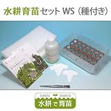 水耕育苗セットWS(種付き)
