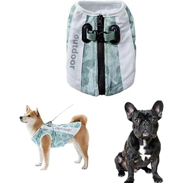 Amazon.co.jp 最新リリース: 犬用コート・ジャケット の新着ランキング