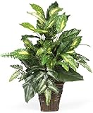 Nearly Natural 6527 Greens with Wicker Decorative Silk Plant, Green by Nearly Natural
