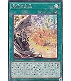 遊戯王 赫の聖女 カルテシア プリズマ ダークウィングブラスト カード Amazon.co.jp: 遊戯王カード 赫の聖女 カルテシア(プリズマ