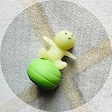 スミスキー エクササイジング シリーズ チビバランススキー
