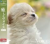 �S�𖞂����N���V�b�N 8�����̃��H�C�X BEST